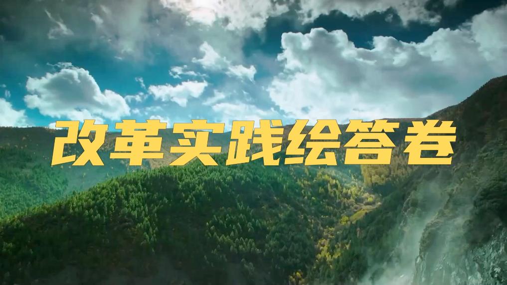 微视频丨改革实践绘答卷