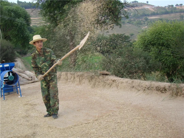 1_副本2.jpg