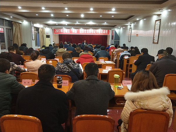 顾仕义在“两新组织”专题会书记专题培训班上讲课.jpg